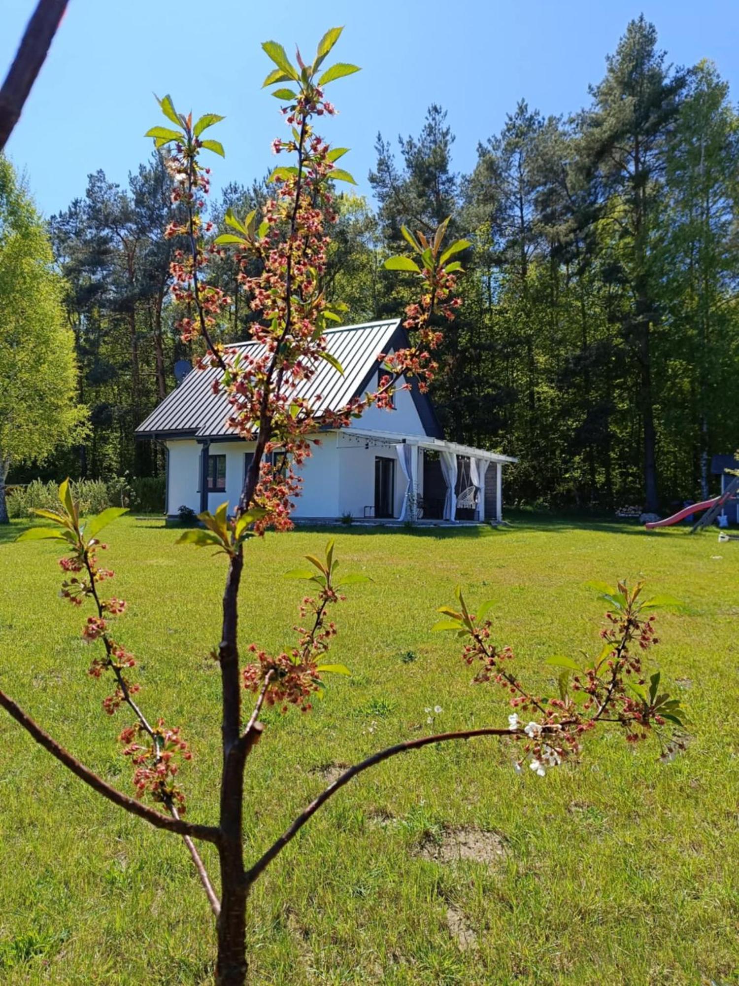 Slajszewo Jeszcze Bardziej Dziki Sad 빌라 외부 사진